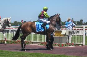 Heading onto track boxing day