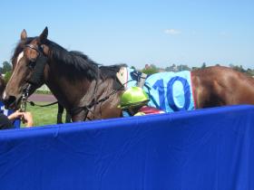 Back to scale after Caulfield win boxing day